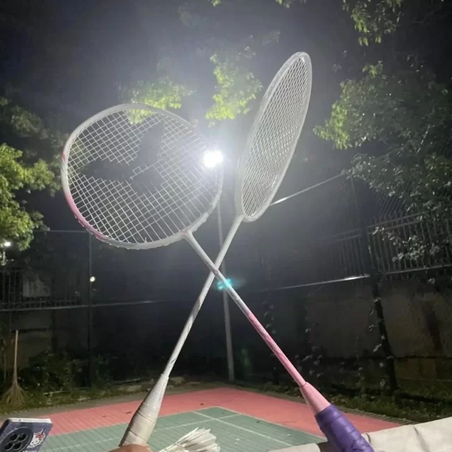 训练备战新闻聚焦：第764组阵容深度解析